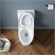 Pemberly Row 2-Pc 1.1/1.6 GPF Dual-Flush Elongated Toilet in White Seat Included