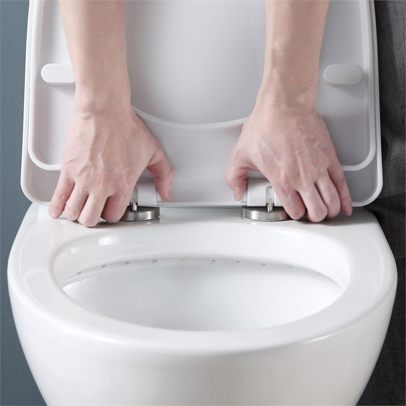 Pemberly Row 2-Pc 1.1/1.6 GPF Dual-Flush Elongated Toilet in White Seat Included