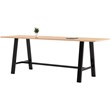 Pemberly Row 3' x 10' Wood Top Bar Height Conference Table in Maple