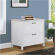 Pemberly Row Rectangular 2-Drawer Modern Wood File Cabinet in White