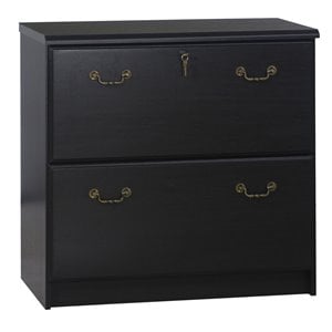 Pemberly Row Transitional Wood Lateral File Cabinet in Espresso