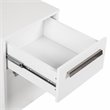 Pemberly Row 2-Drawer Modern Wood Mobile File Cabinet in White