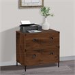 Pemberly Row 2-Drawer Modern Wood Lateral File Cabinet in Walnut