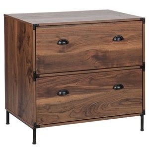 Pemberly Row 2-Drawer Modern Wood Lateral File Cabinet in Walnut