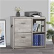 Pemberly Row 2-Drawer Modern Wood File Cabinet in Washed Gray