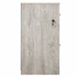 Pemberly Row 2-Drawer Modern Wood File Cabinet in Washed Gray