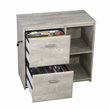 Pemberly Row 2-Drawer Modern Wood File Cabinet in Washed Gray