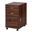 Pemberly Row Mobile Wood Filing Cabinet With 3 Drawer in Walnut
