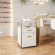 Pemberly Row White & Gold Rolling Locking File Cabinet w/ USB