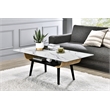 Pemberly Row Set of 2 End Table and Coffee Table with White Marble Texture Top