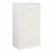 Pemberly Row Set of 2 5-Drawer & 6-Drawer Dressers in White