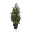 Pemberly Row Indoor/Outdoor 24