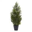 Pemberly Row Indoor/Outdoor 24