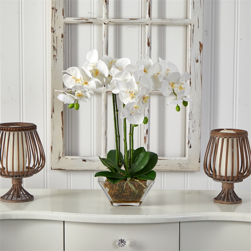 Pemberly Row Triple Phalaenopsis Orchid in Glass Vase in White/Clear