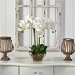 Pemberly Row Triple Phalaenopsis Orchid in Glass Vase in White/Clear