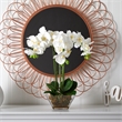 Pemberly Row Triple Phalaenopsis Orchid in Glass Vase in White/Clear