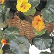 Pemberly Row Nasturtium Silk with Decorative Hanging Basket in Gold/Brown