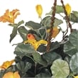 Pemberly Row Nasturtium Silk with Decorative Hanging Basket in Gold/Brown