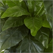 Pemberly Row Indoor/Outdoor 60