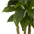 Pemberly Row Indoor/Outdoor 60
