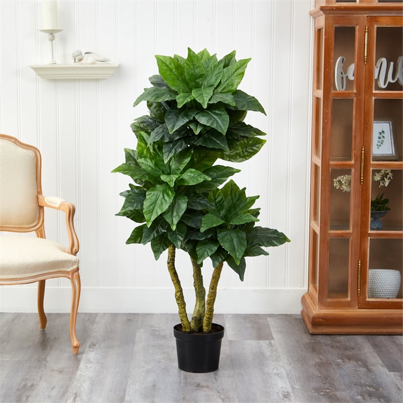 Pemberly Row Indoor/Outdoor 60