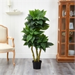 Pemberly Row Indoor/Outdoor 60