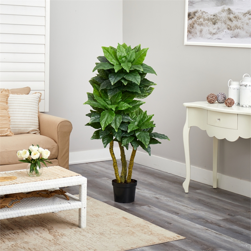 Pemberly Row Indoor/Outdoor 60