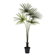 Pemberly Row Indoor/Outdoor 84