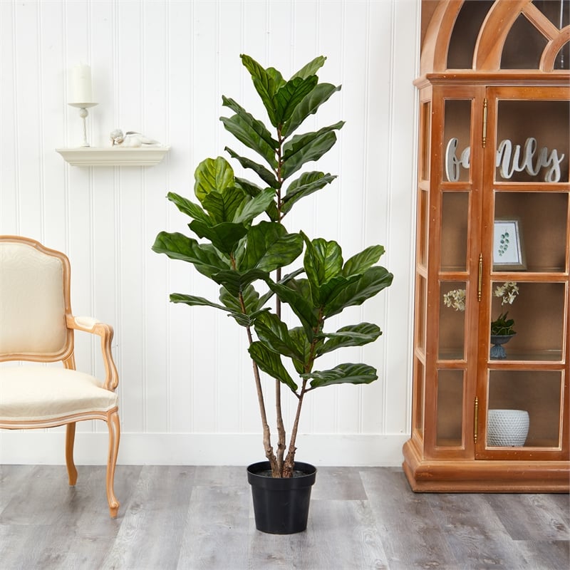 Pemberly Row Indoor/Outdoor 65