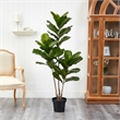 Pemberly Row Indoor/Outdoor 65