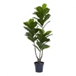 Pemberly Row Indoor/Outdoor 65