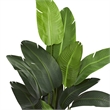 Pemberly Row Travelers Palm Artificial Tree with Upward Leaves in Green/Black