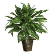 Pemberly Row Silver King with Basket Silk Plant in Green/Brown