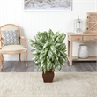 Pemberly Row Silver Queen with Decorative Planter Silk Plant in Green/Brown