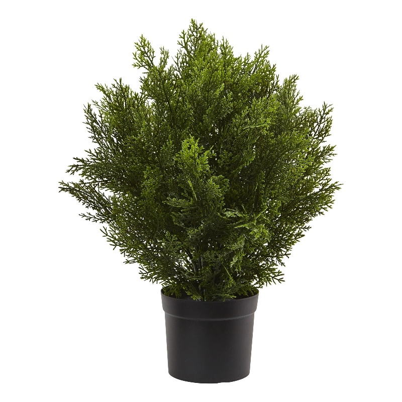 Pemberly Row Indoor/Outdoor 24