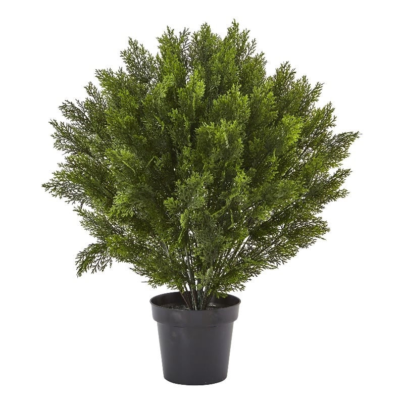 Pemberly Row Indoor/Outdoor 36