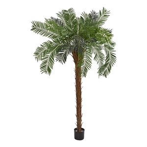 Pemberly Row 84&quot Tall Cycas Palm Artificial Tree in Green/Black
