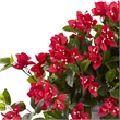 Pemberly Row Bougainvillea Flowering Silk Plant with Decorative Urn - Red/Gray
