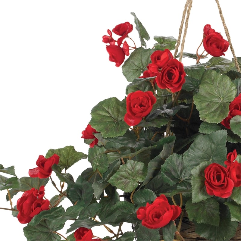 Pemberly Row Vibrant Begonia Blooms Hanging Basket in Red/Brown