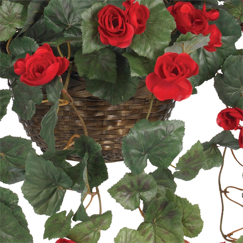 Pemberly Row Vibrant Begonia Blooms Hanging Basket in Red/Brown