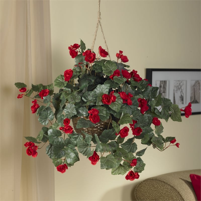 Pemberly Row Vibrant Begonia Blooms Hanging Basket in Red/Brown
