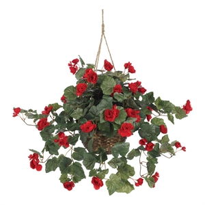 Pemberly Row Vibrant Begonia Blooms Hanging Basket in Red/Brown