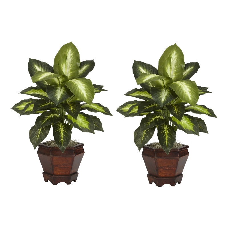 Pemberly Row Dieffenbachia with Wood Vase Silk Plant (Set of 2) in Green/Brown