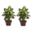 Pemberly Row Dieffenbachia with Wood Vase Silk Plant (Set of 2) in Green/Brown