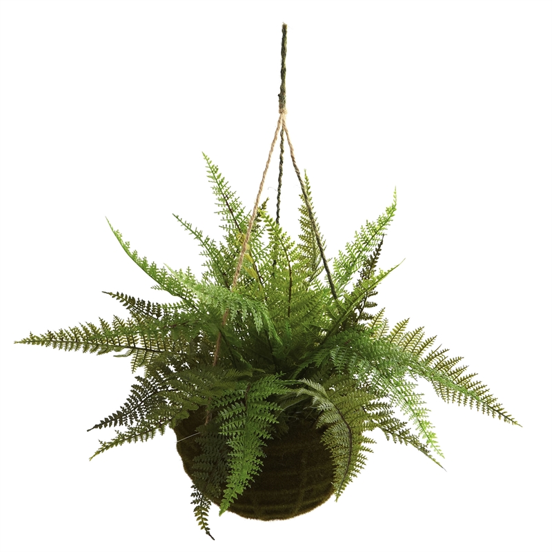 Pemberly Row Leather Fern with Mossy Hanging Basket (Set of 2) in Green/Brown