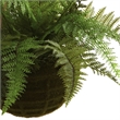 Pemberly Row Leather Fern with Mossy Hanging Basket (Set of 2) in Green/Brown