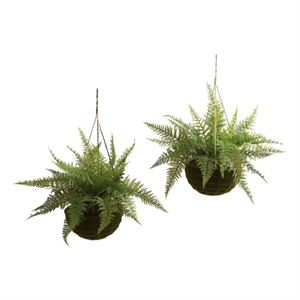 Pemberly Row Leather Fern with Mossy Hanging Basket (Set of 2) in Green/Brown