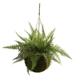 Pemberly Row Leather Fern with Mossy Hanging Basket (Set of 2) in Green/Brown
