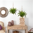 Pemberly Row Leather Fern with Mossy Hanging Basket (Set of 2) in Green/Brown