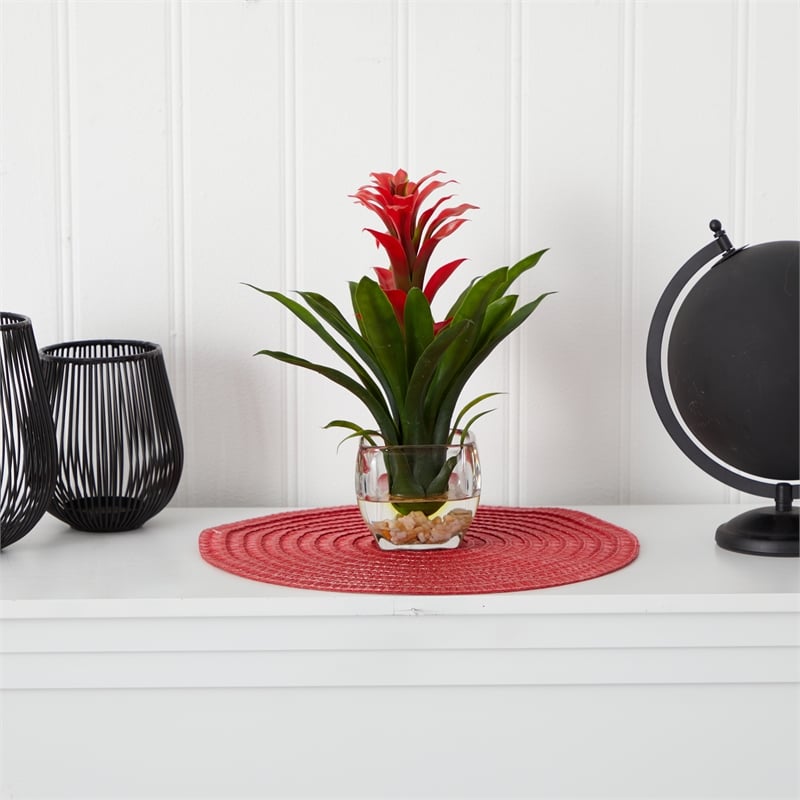 Pemberly Row Bromeliad with Glass Vase Arrangement in Red/Clear